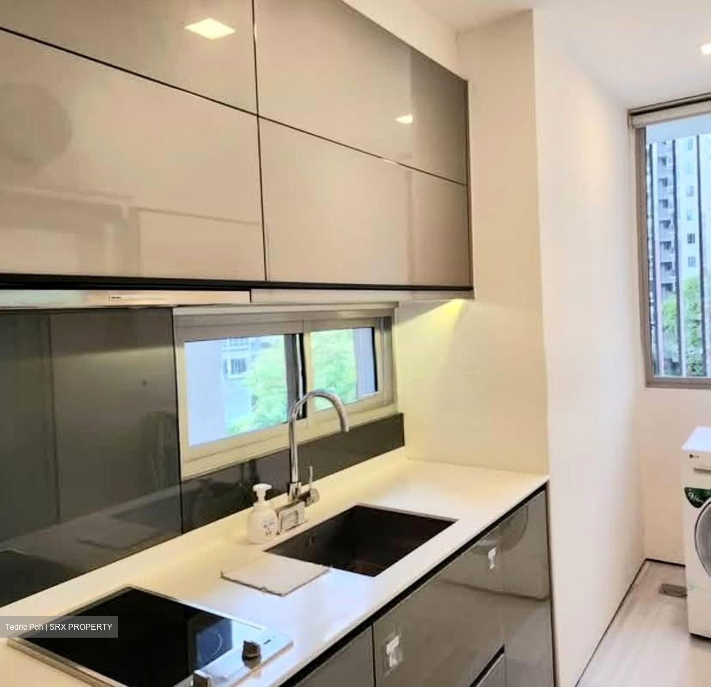 Hallmark Residences (D10), Condominium #543579031